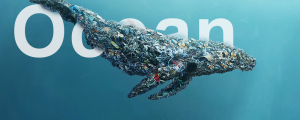 Ocean Pollution For Plastic